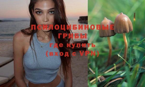 скорость Бронницы