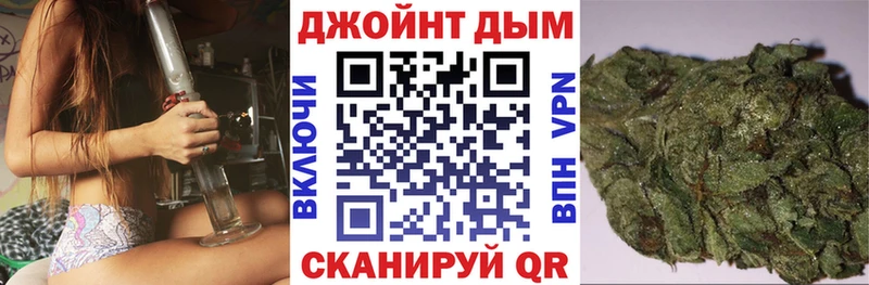 купить наркотики цена  Камень-на-Оби  Бошки Шишки сатива 